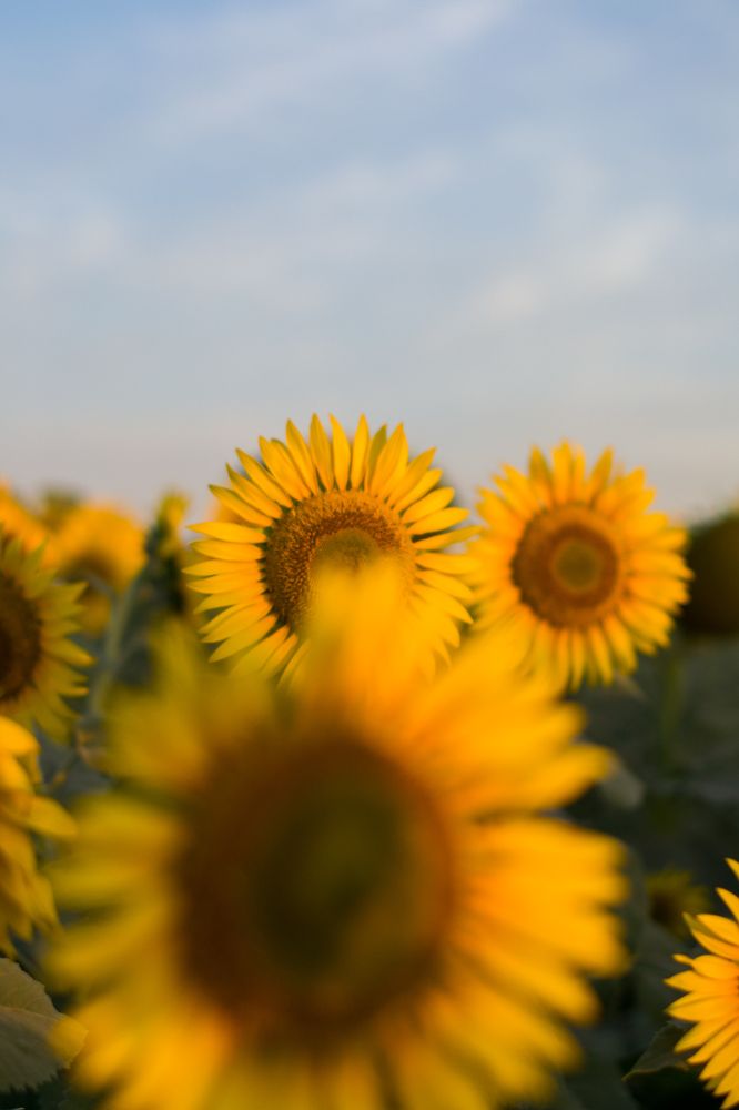 Photograph by Виорика Фоменко