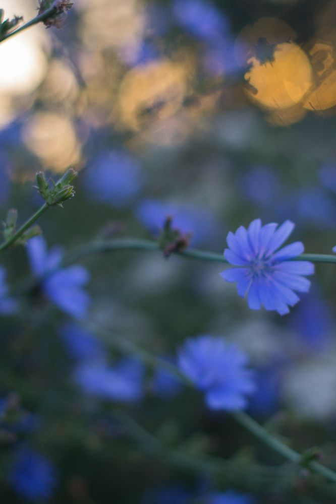 Photograph by Виорика Фоменко