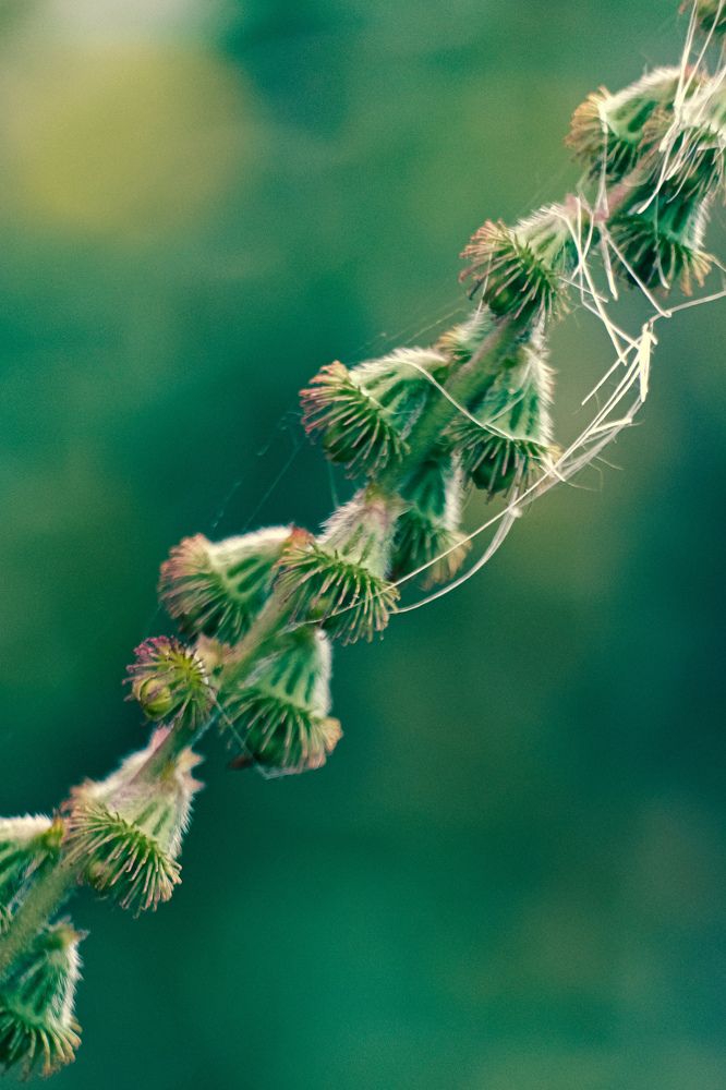 Photograph by Евгения Путинцева