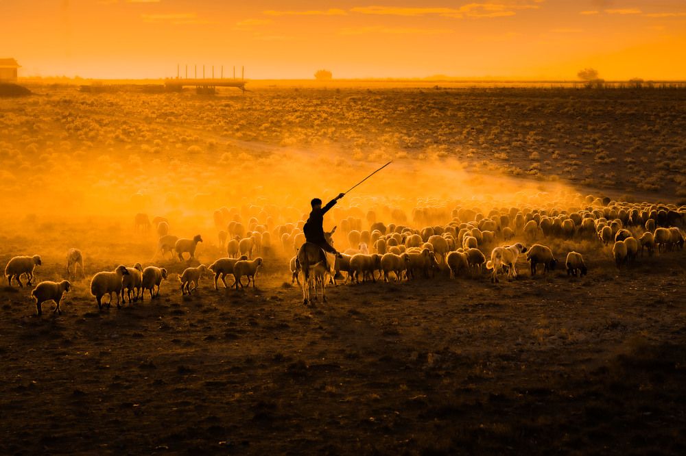Photograph by Abdurrahman Altıntaş