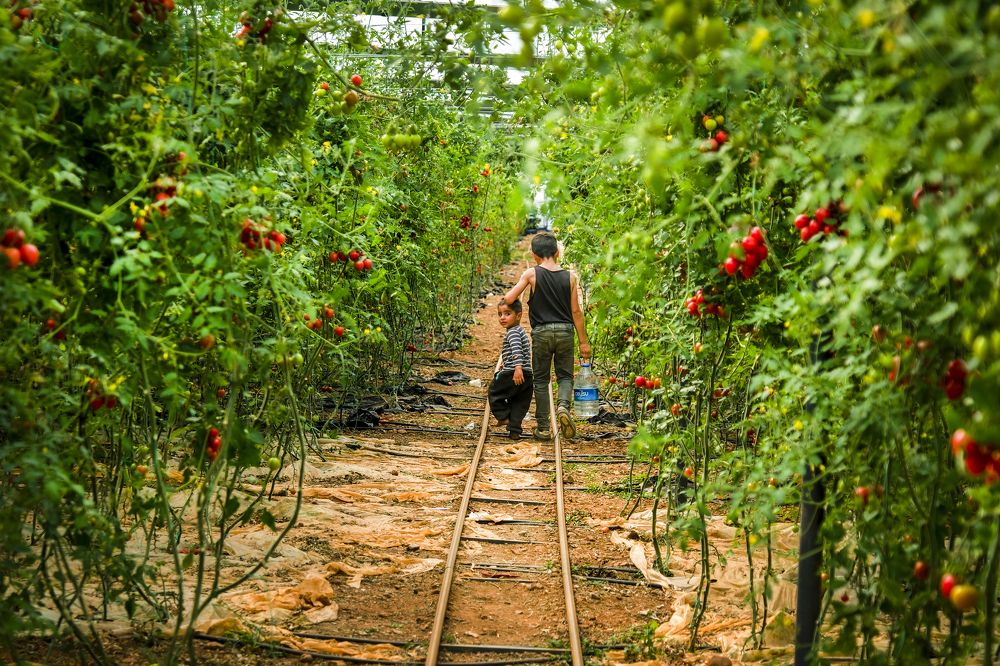 Photograph by Abdurrahman Altıntaş