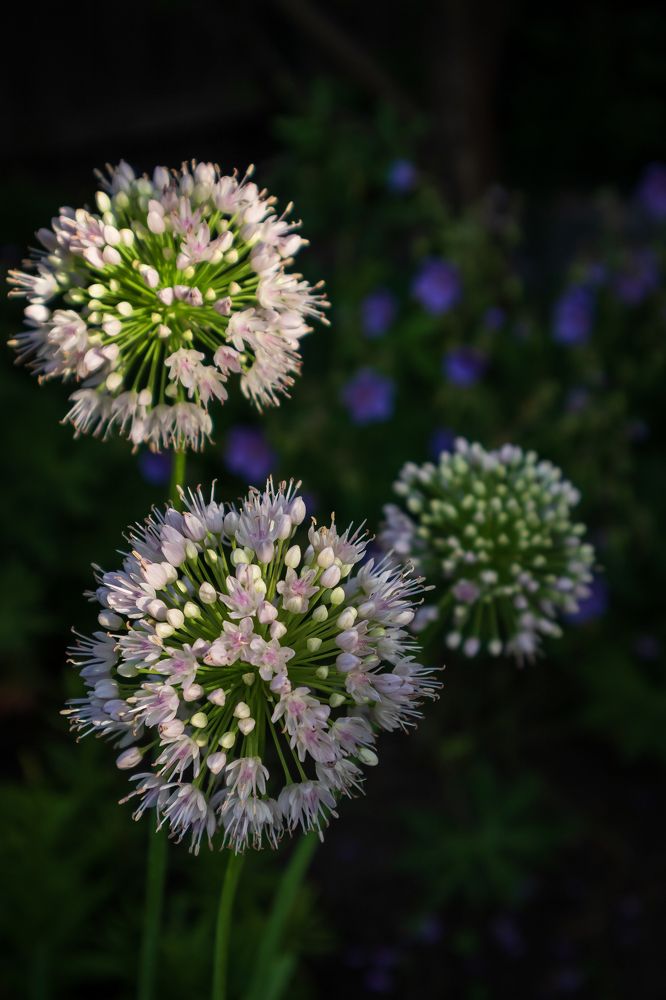 Photograph by Роман Гладкий