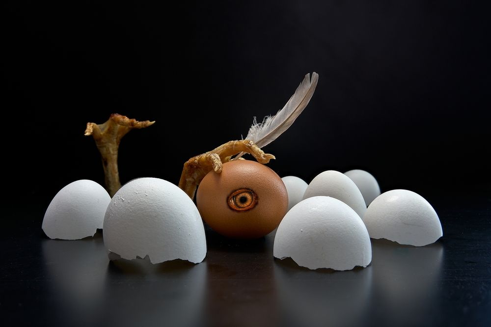 Photograph by Владимир