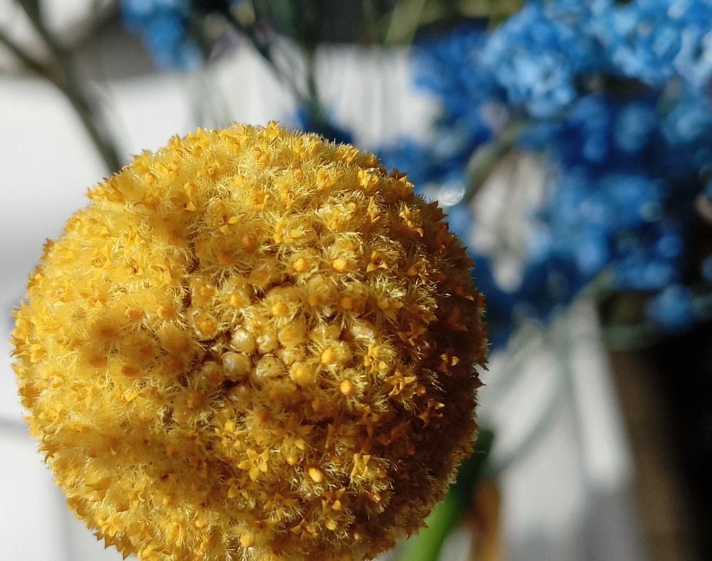 Photograph by Анастасия Кичигина