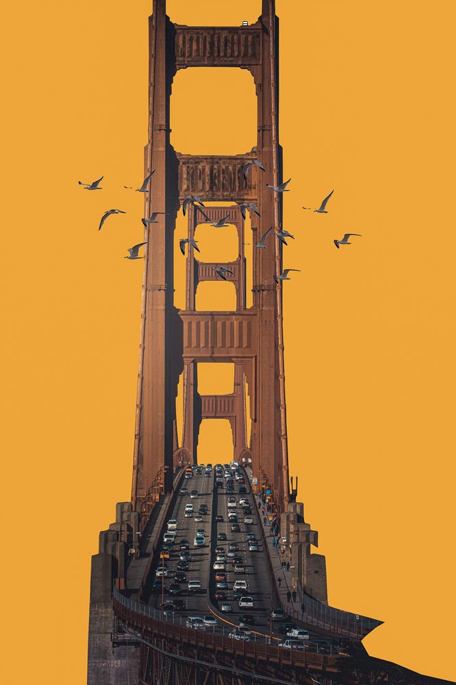 Photograph by Iraj Jabbari