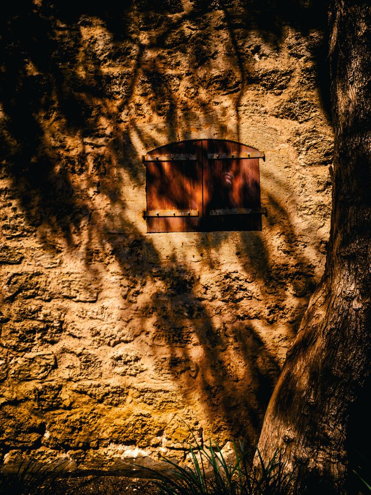 Фотография автора Galina Israiliv