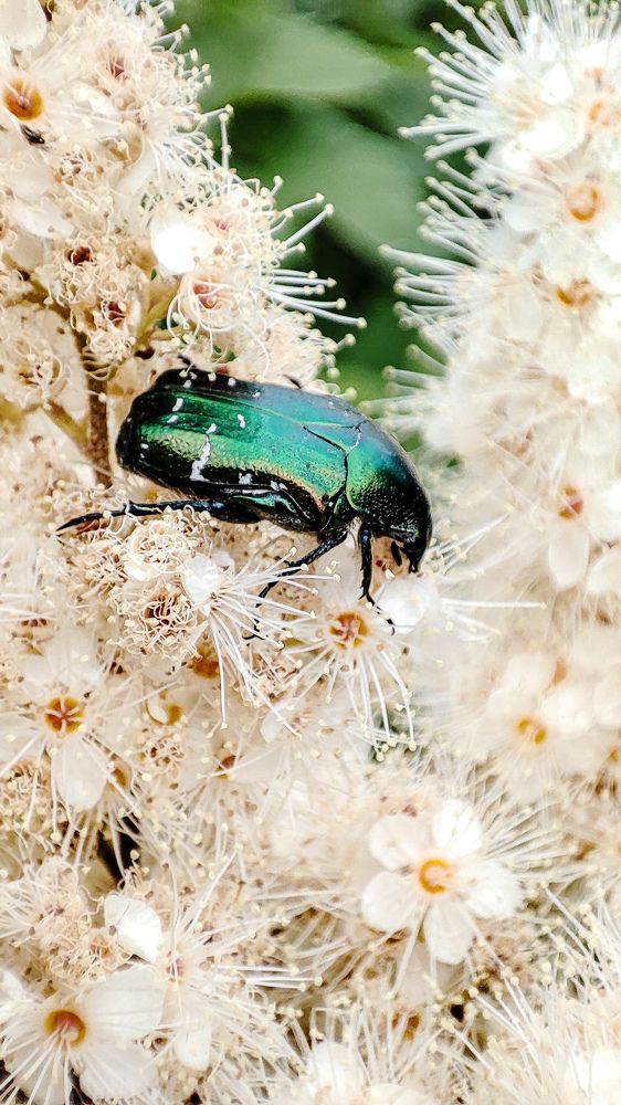 Фотография автора Ксения Лепина