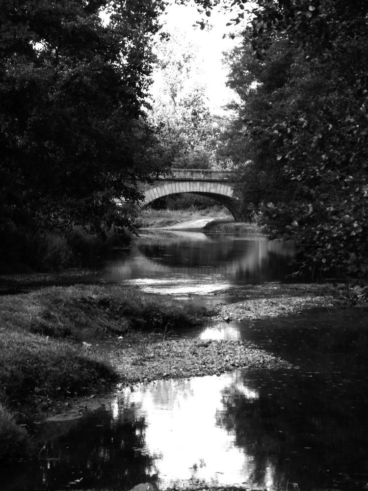 Фотография автора Nicole Thévenon