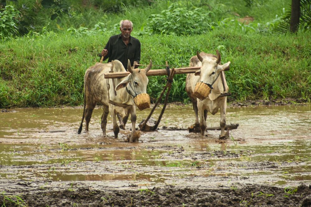 Фотография автора ABHISHEK SHAH