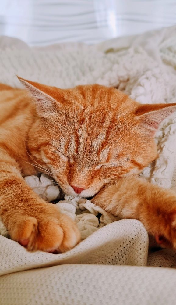 Photograph by Gr Marie