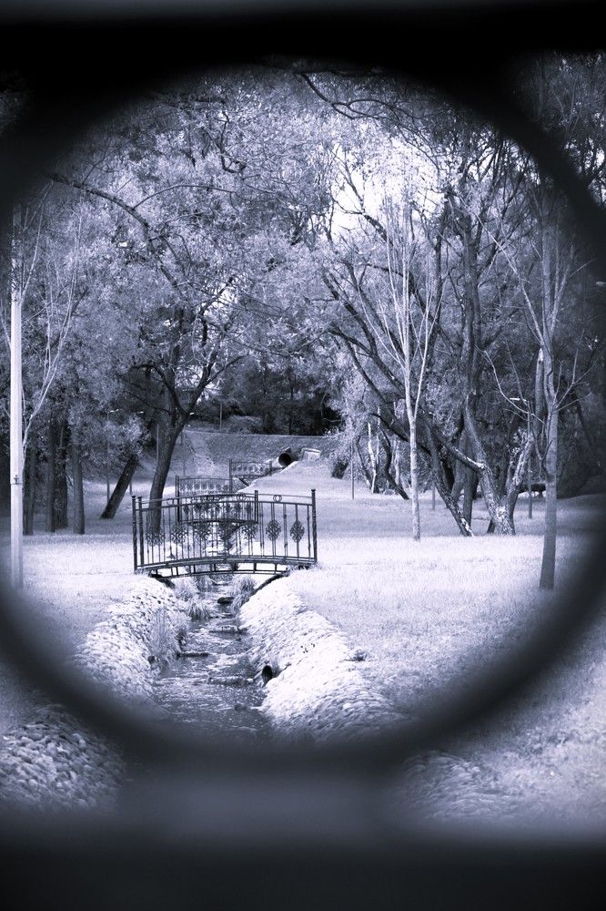 Фотография автора Вячеслав