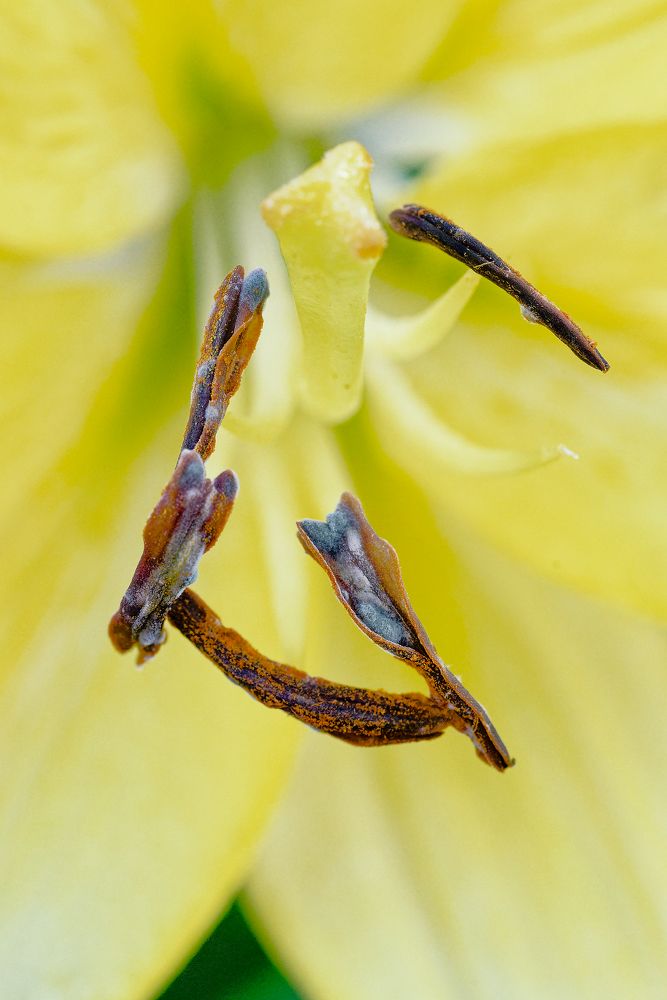 Photograph by Aleksei Degtjarjov