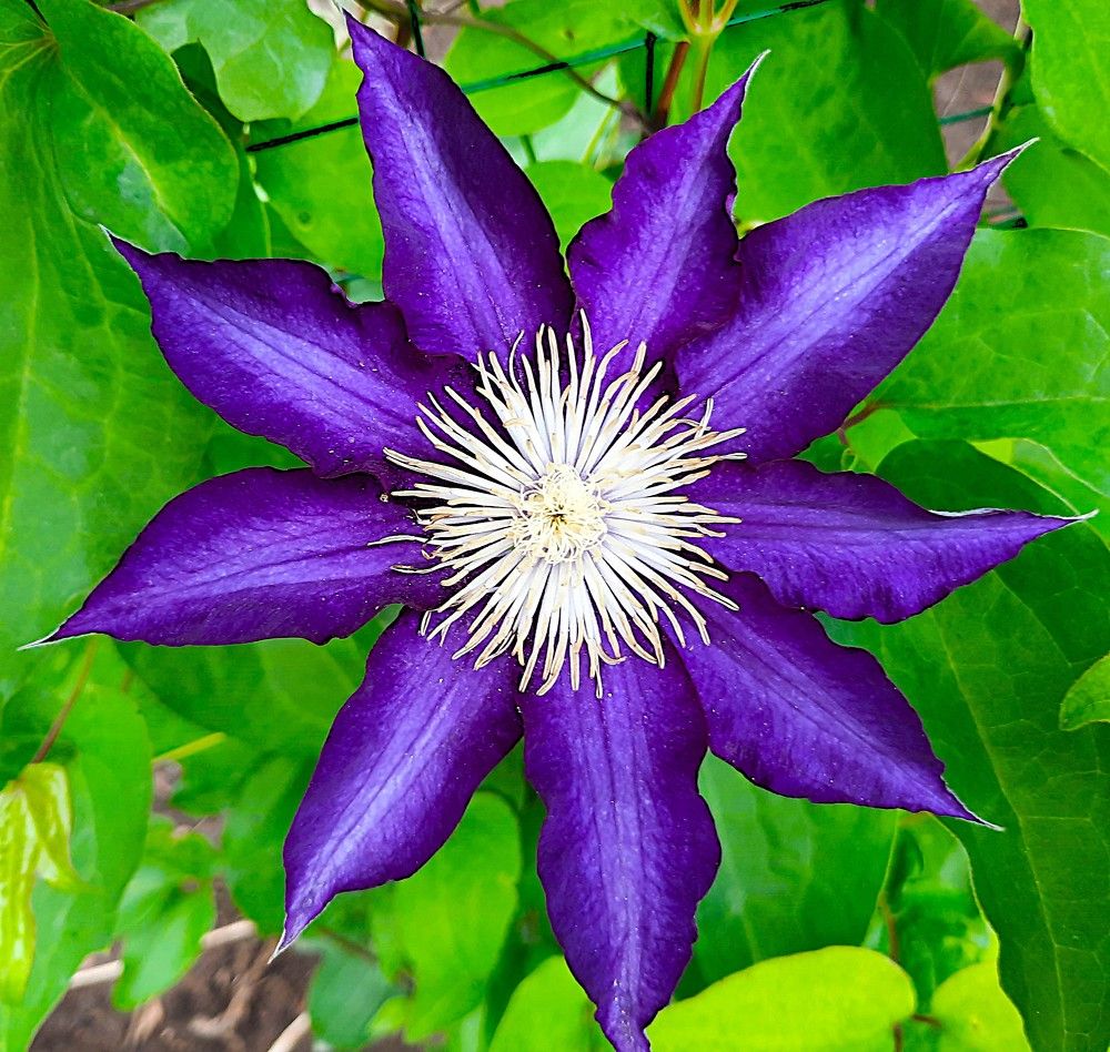 Photograph by Владимир Малёшин