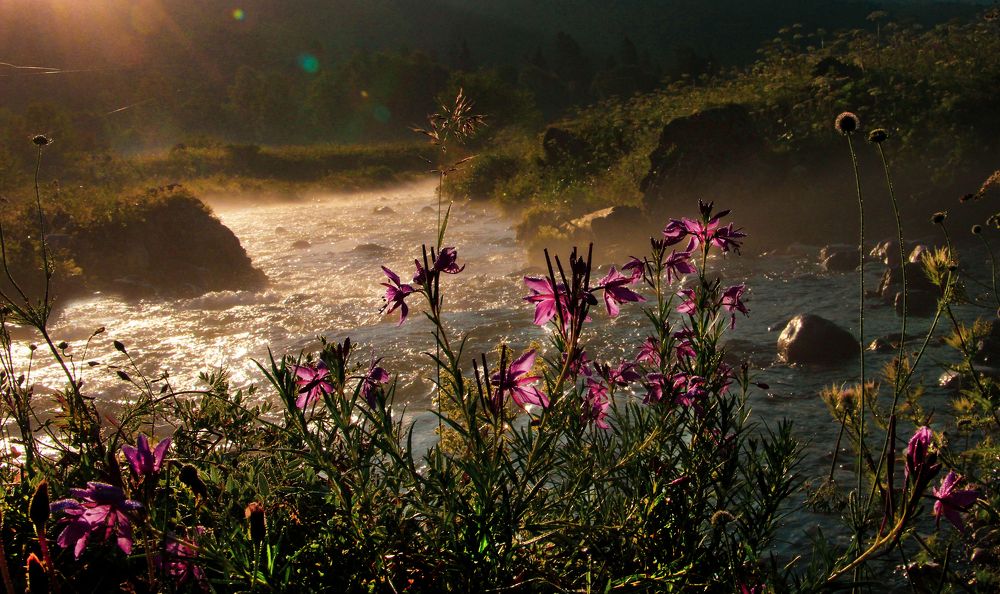 Перламутровый рассвет