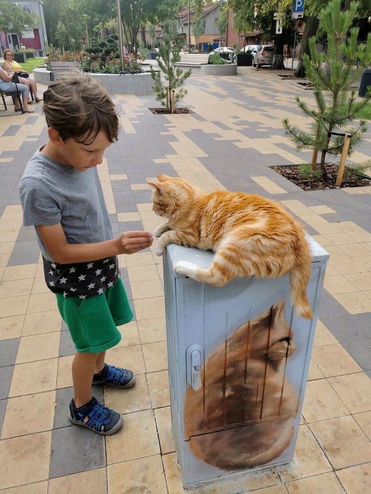 Photograph by Наталия Питолина