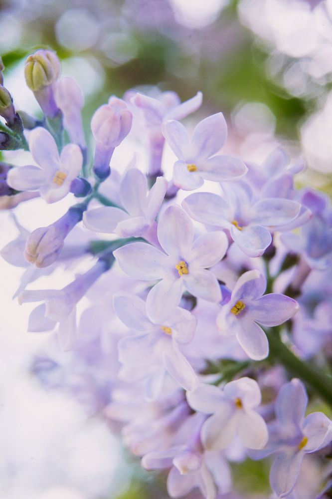 Photograph by Ольга Белопухова