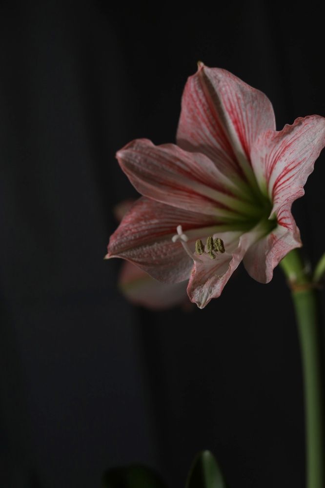Photograph by Марина Беляева
