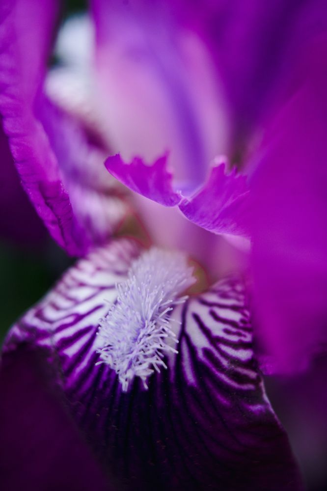 Photograph by Ольга Белопухова