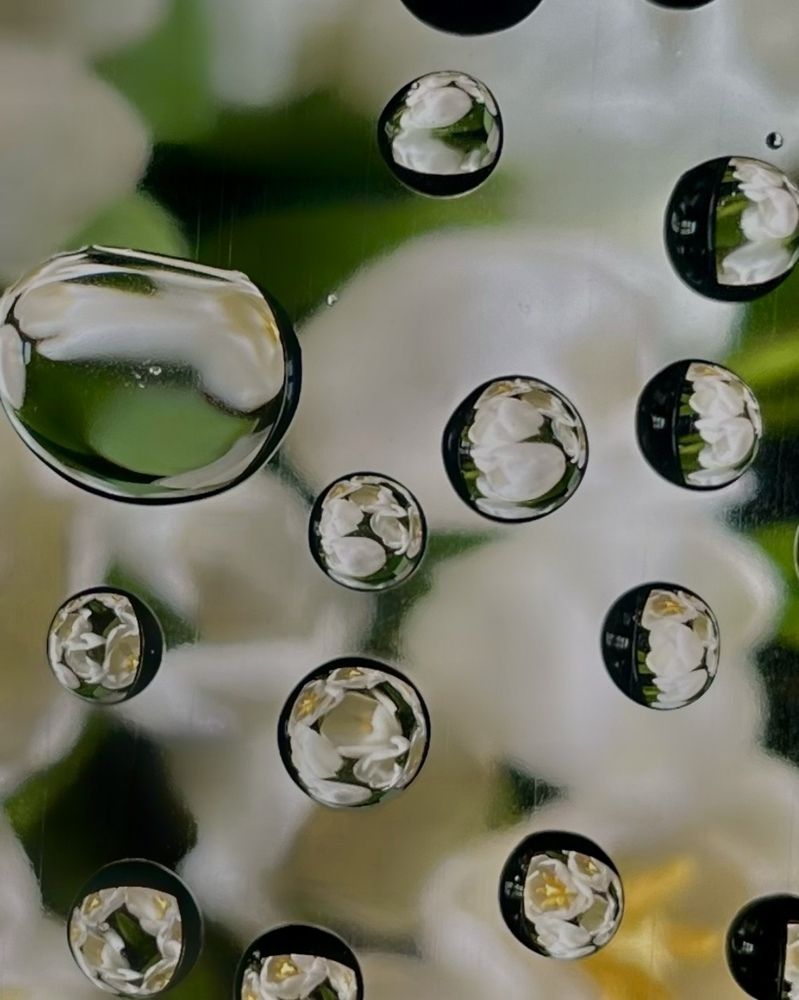 Photograph by Mariia Voloshina