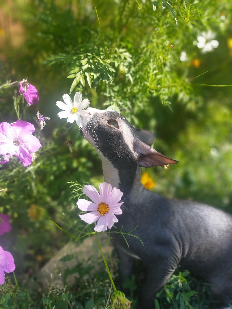 Photograph by Ольга Мартьянова