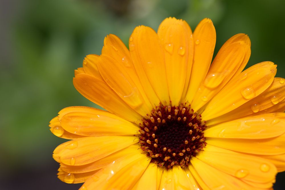 Photograph by Наталья Латыпова