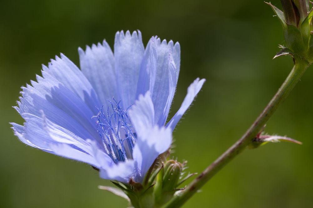 Photograph by Наталья Латыпова