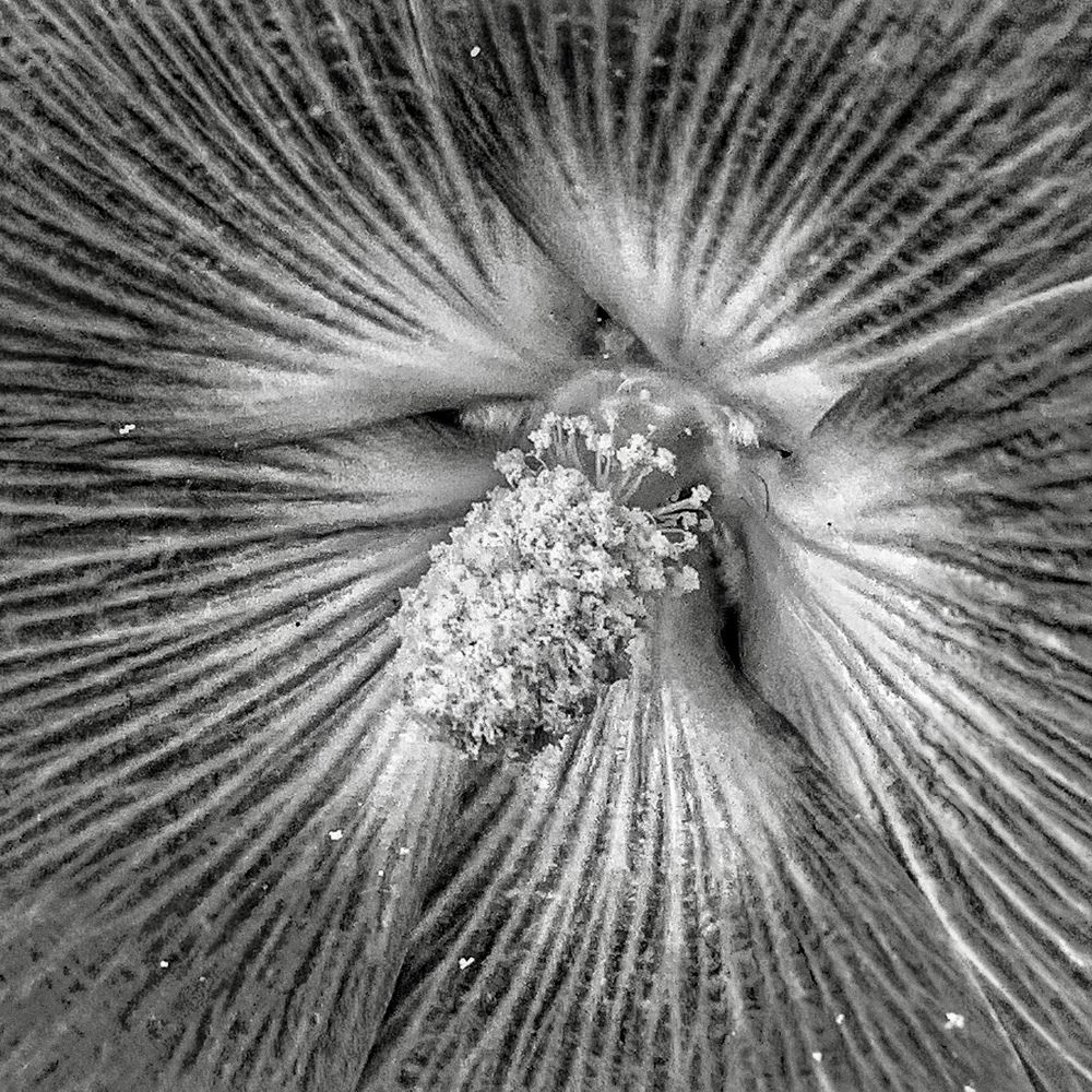 Фотография автора Washiful Majid