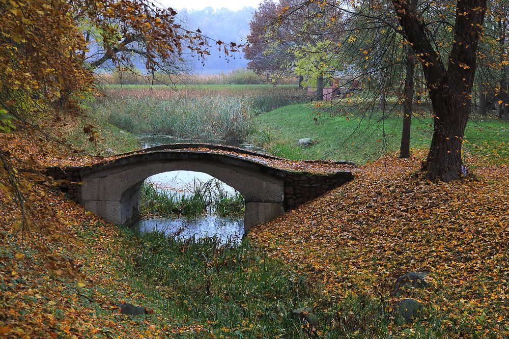 Photograph by Николай Протасеня