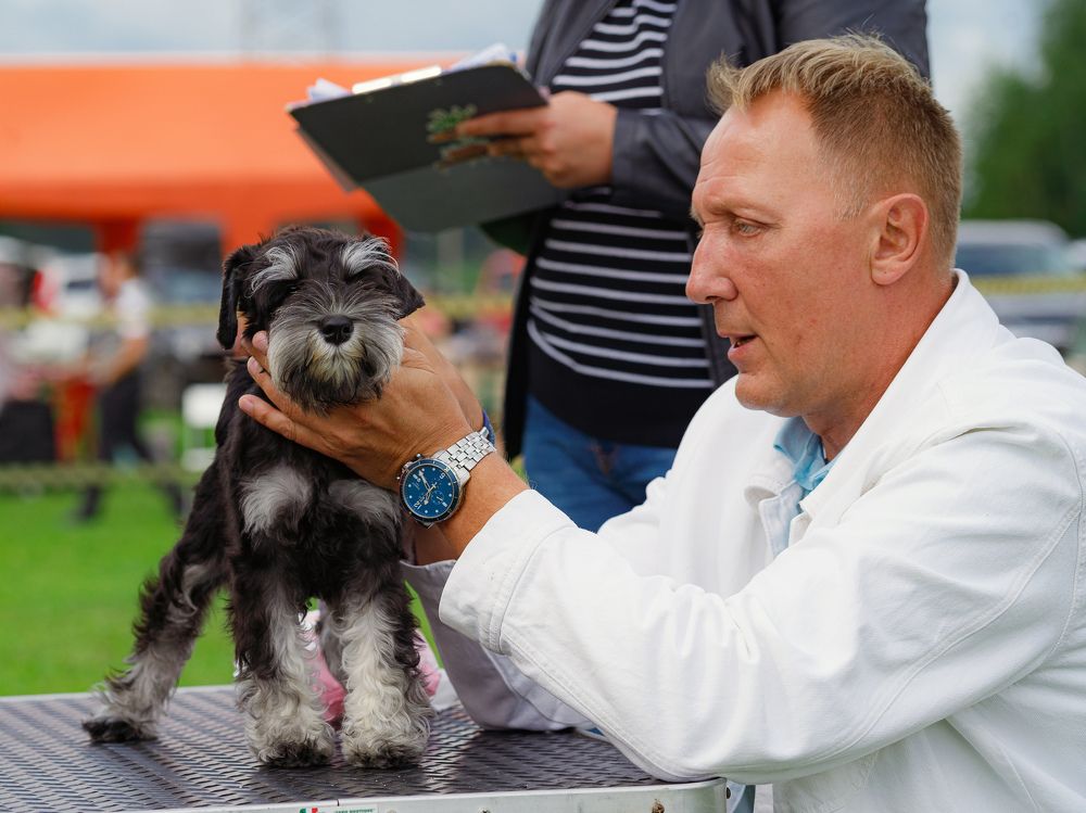 Photograph by Людмила Бандурина