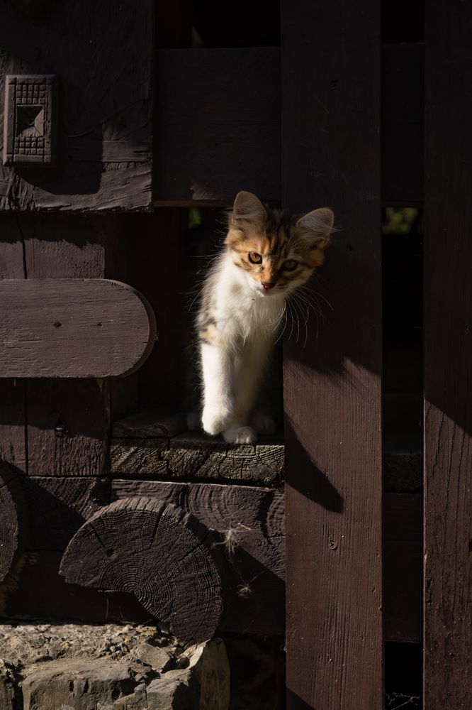 Photograph by Нина Грачева