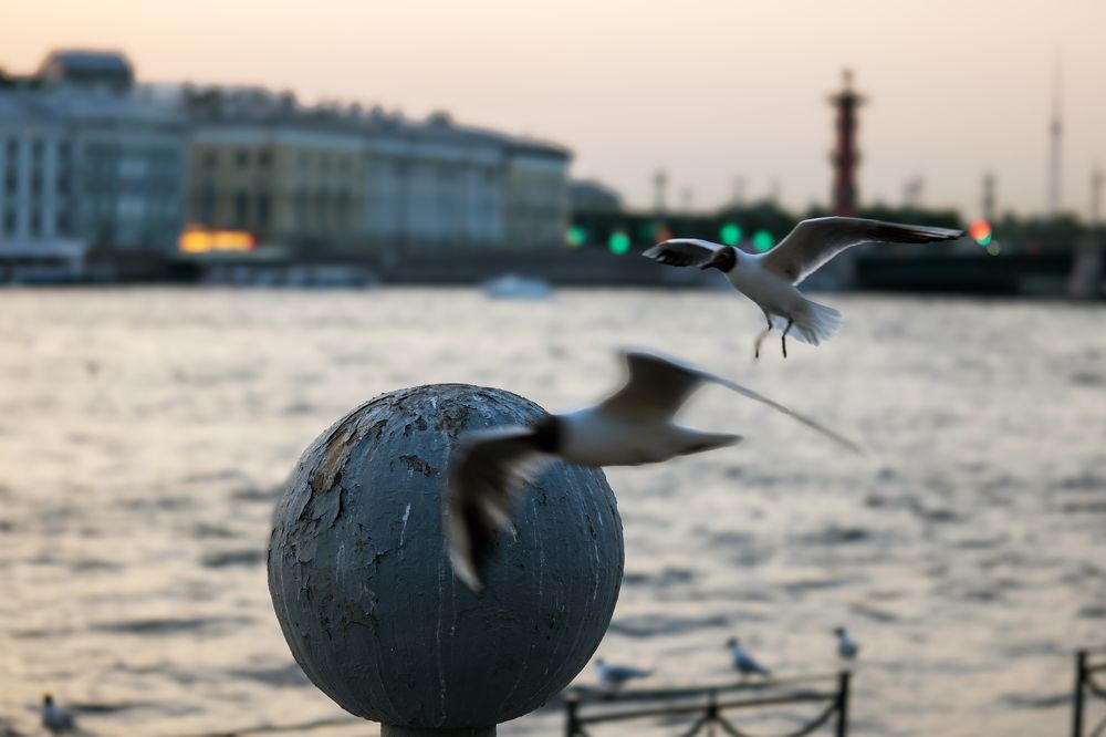 Photograph by Виктор Ремишевский