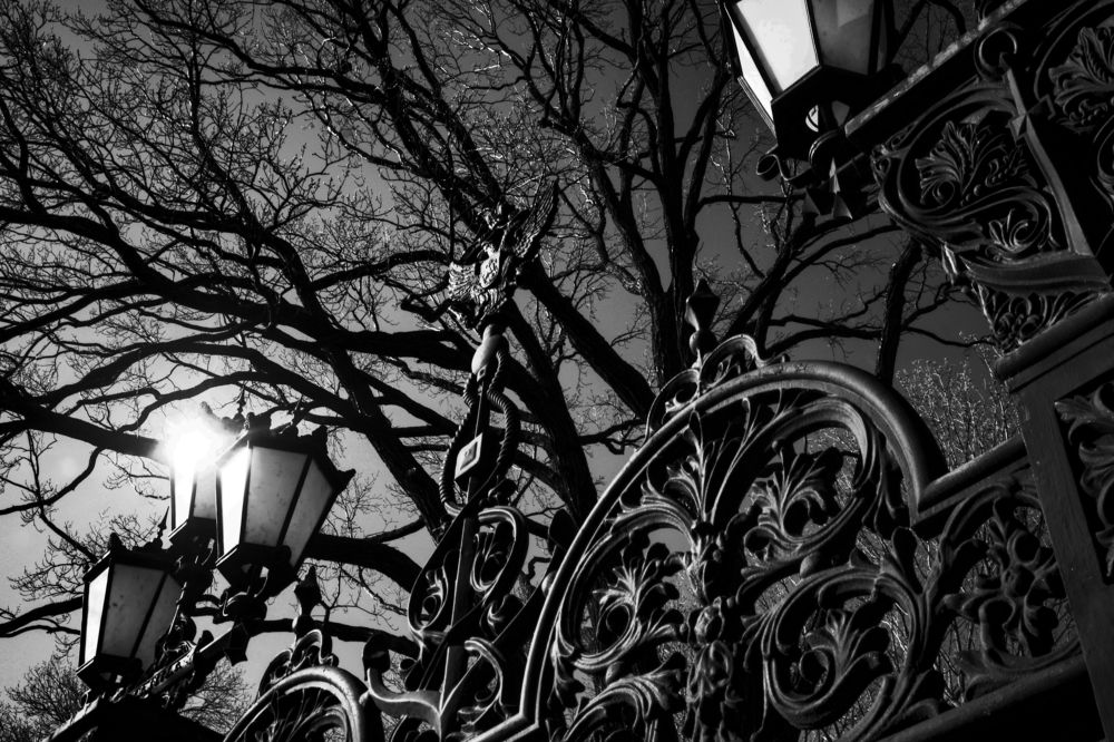 Photograph by Виктор Ремишевский