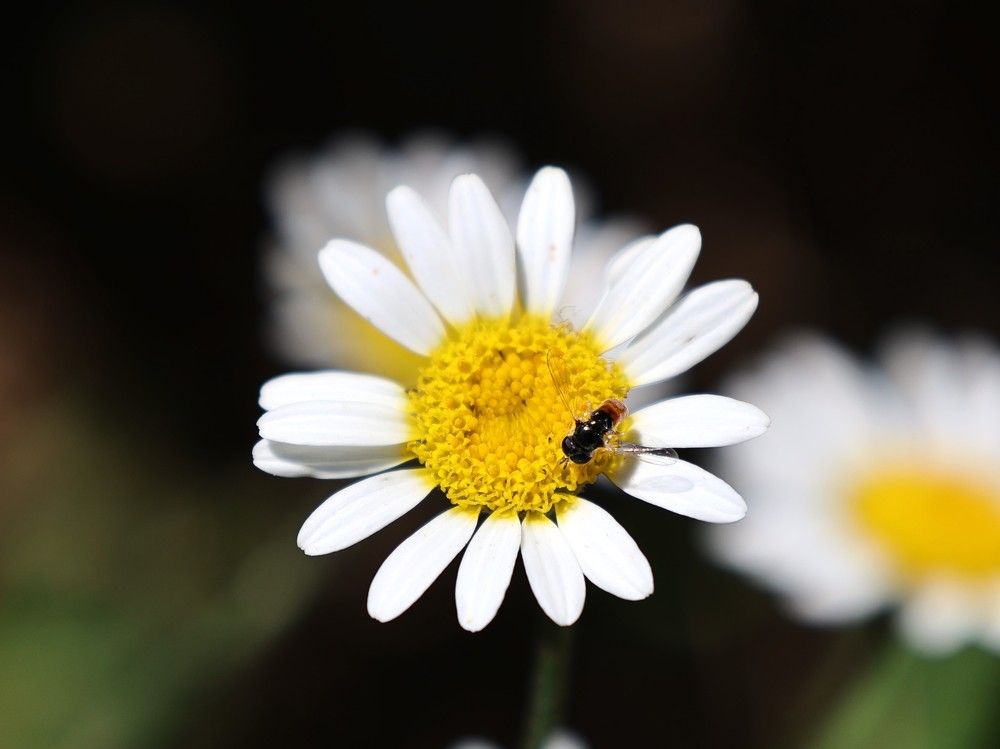 Photograph by Дина