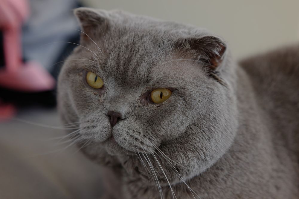 Photograph by Виктор Ремишевский