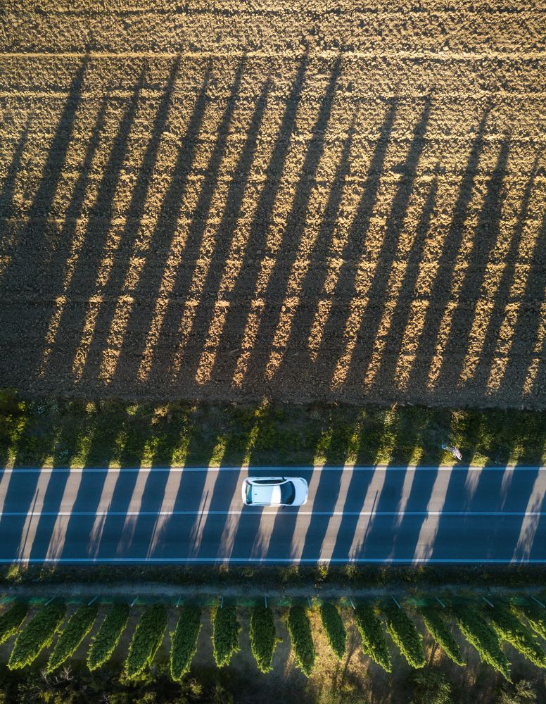 Photograph by Василий Яковлев