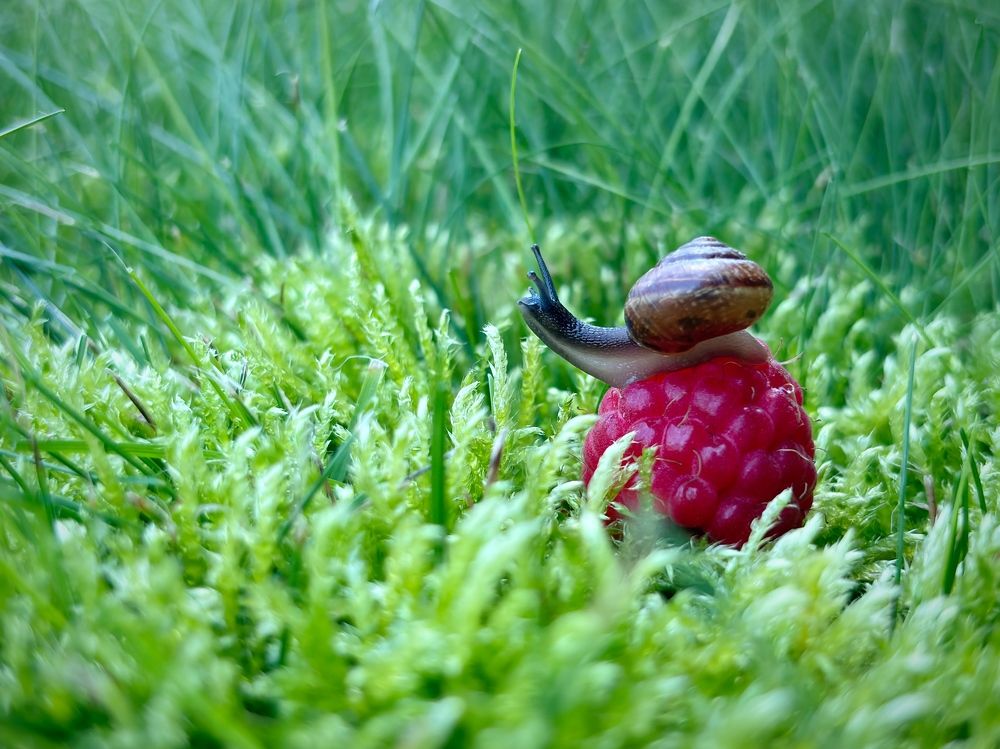 Photograph by Марина