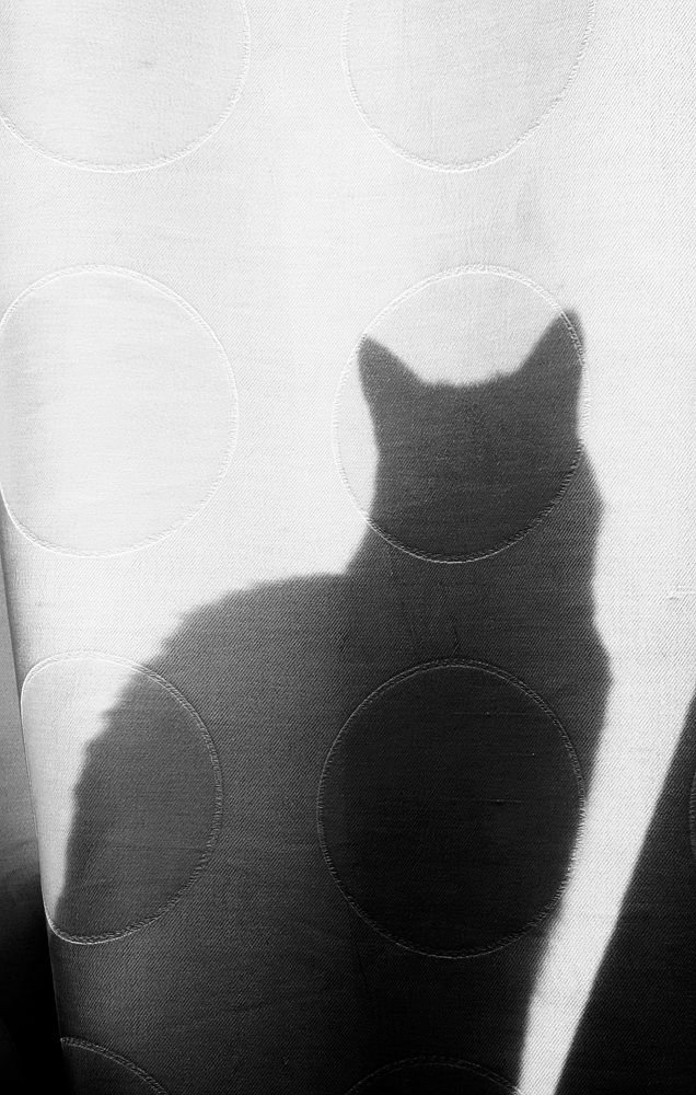 Photograph by Оксана Бессчетнова