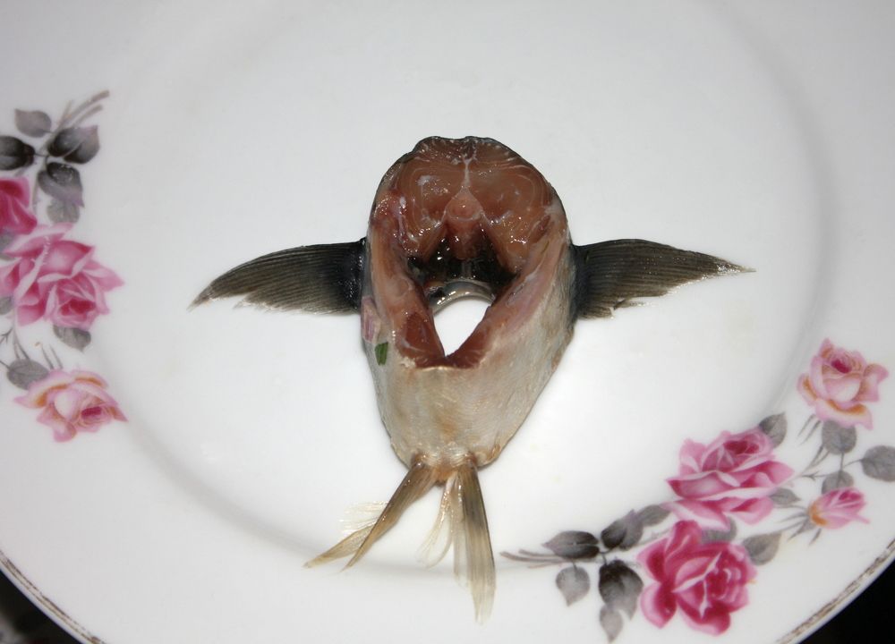 Photograph by Сергей Христинич