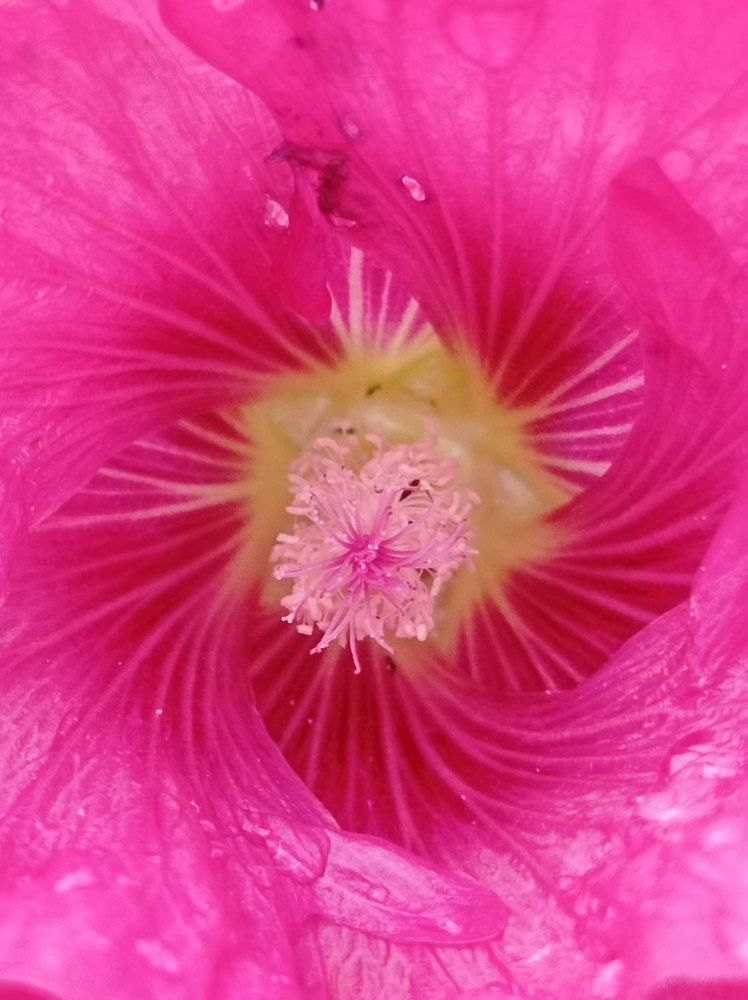 Photograph by Ирина Орлова