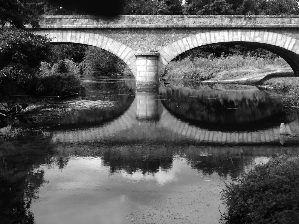 Фотография автора Nicole Thévenon