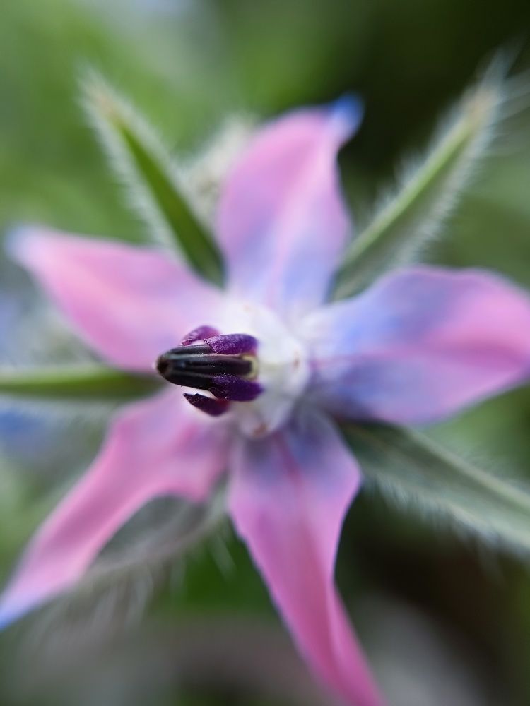 Photograph by Анастасия Горбачева