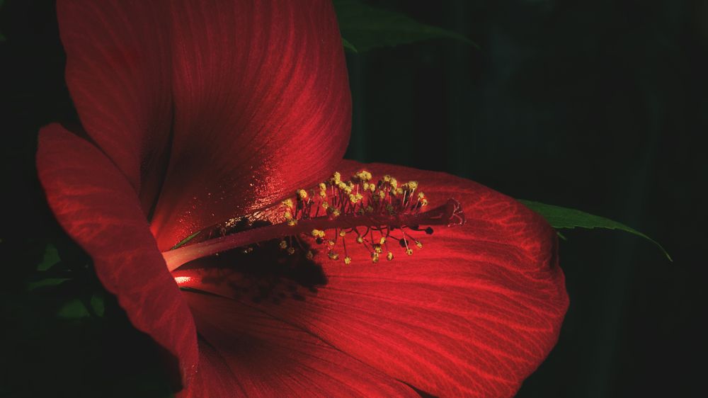 Photograph by Забудская Наталья