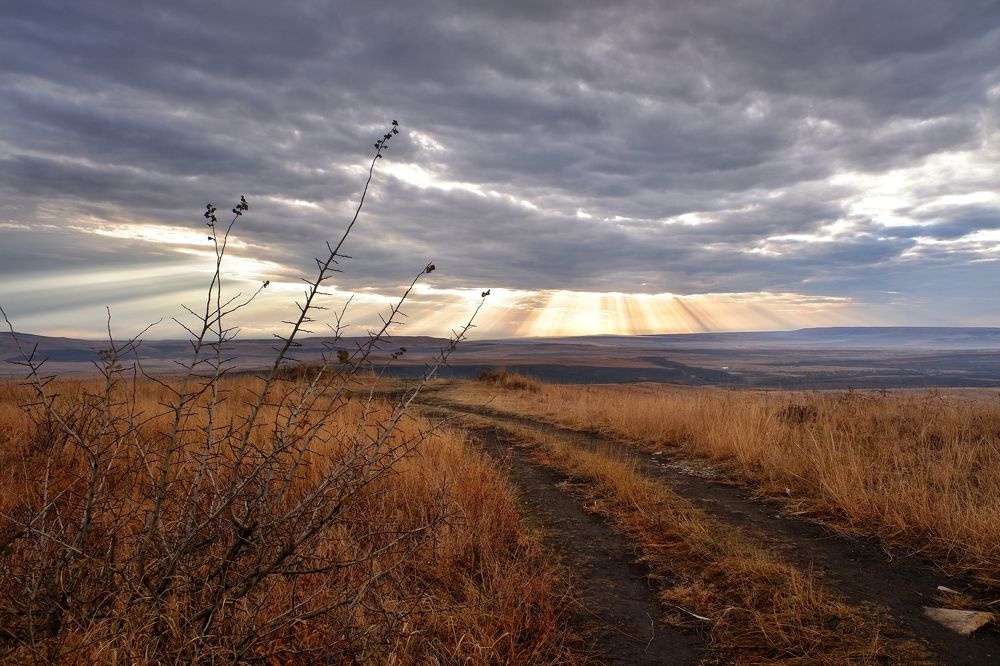 Photograph by Зорин Миша