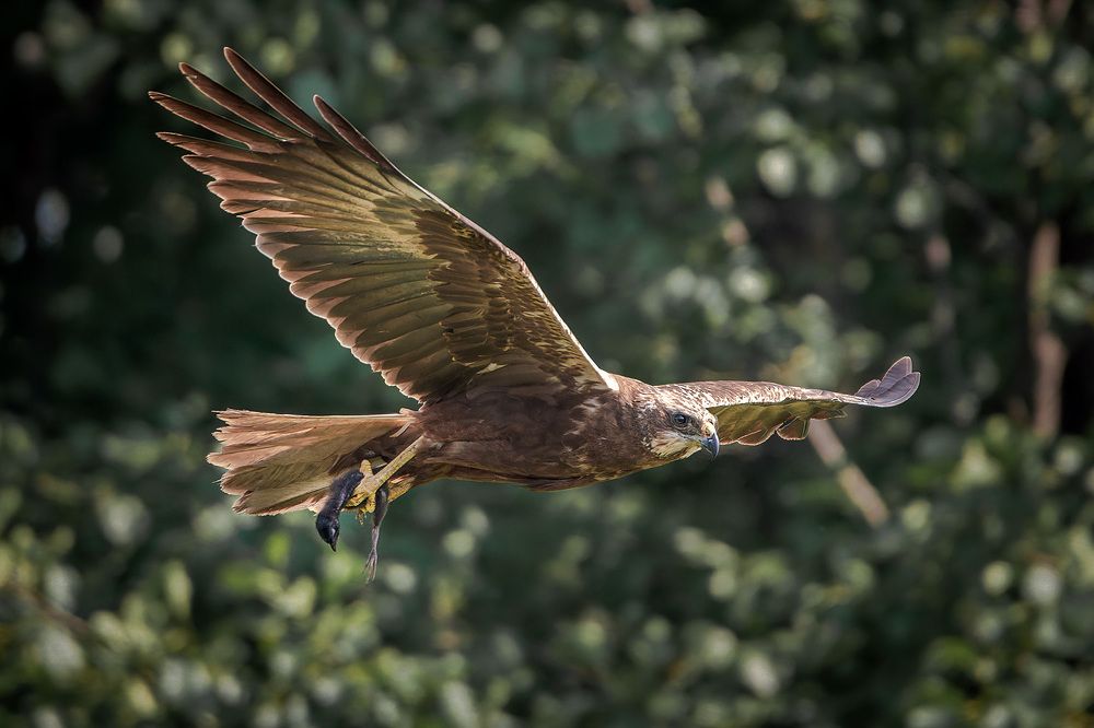 Photograph by Тябин Владислав