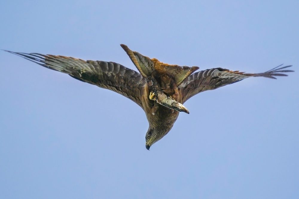 Photograph by Тябин Владислав