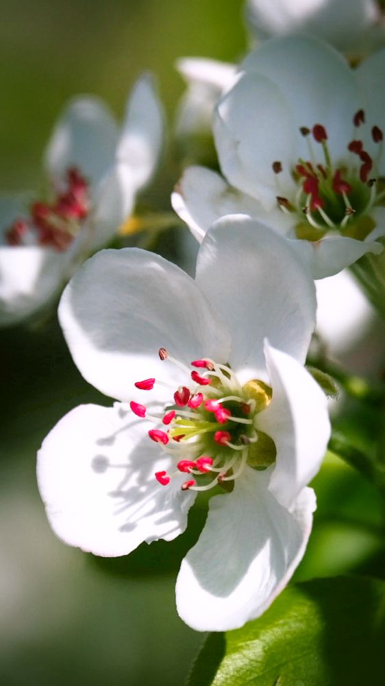 Photograph by Евгения Путинцева