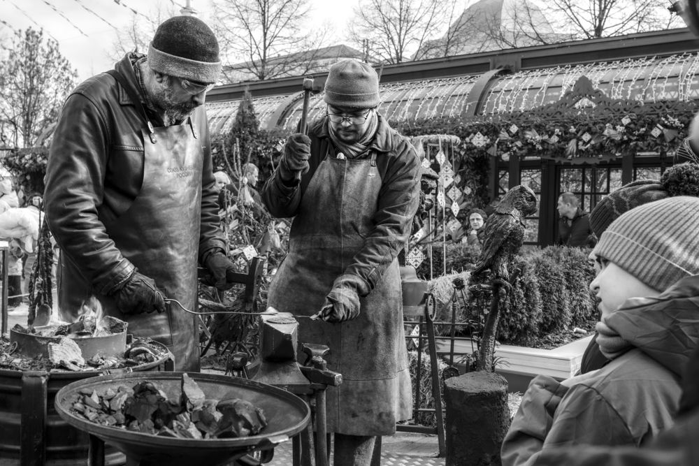 Фотография автора Ольга Лихтарь