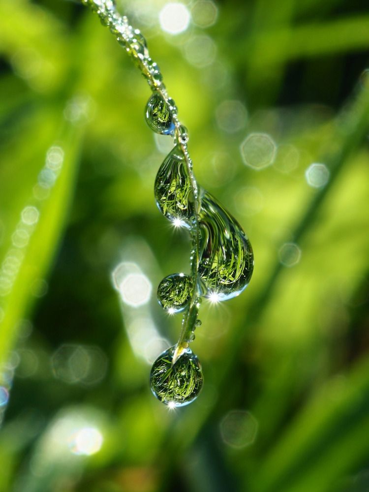 Photograph by Елена Харитонова