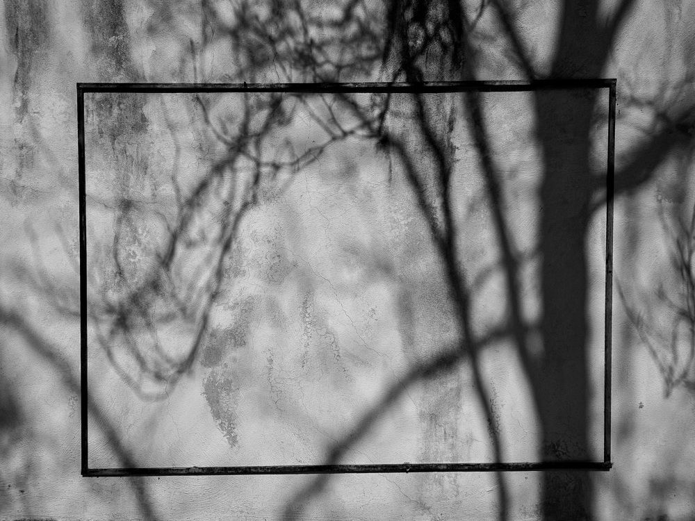 Photograph by Mostafa Mortazavi