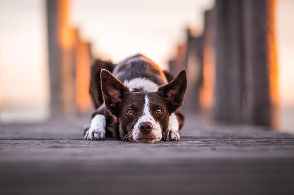 Photograph by Csenge